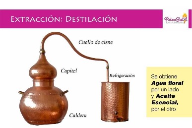 http://www.cristinamadoni.com/Archivos/C1im9.JPG.jpg